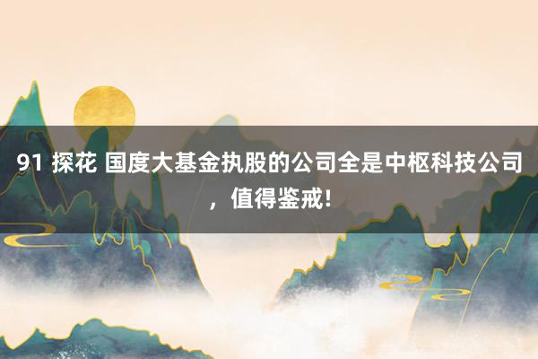 91 探花 国度大基金执股的公司全是中枢科技公司，值得鉴戒!