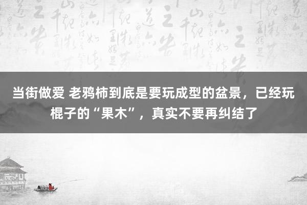 当街做爱 老鸦柿到底是要玩成型的盆景，已经玩棍子的“果木”，真实不要再纠结了