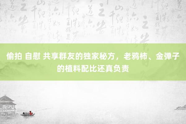 偷拍 自慰 共享群友的独家秘方，老鸦柿、金弹子的植料配比还真负责