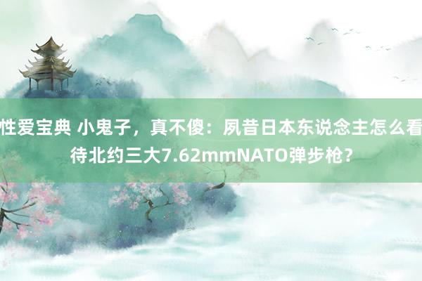 性爱宝典 小鬼子，真不傻：夙昔日本东说念主怎么看待北约三大7.62mmNATO弹步枪？