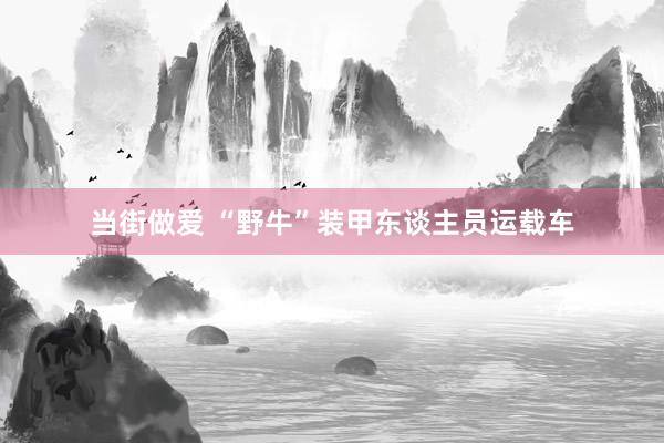 当街做爱 “野牛”装甲东谈主员运载车