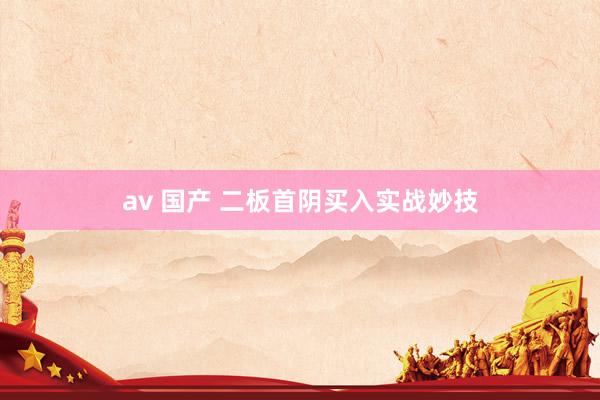 av 国产 二板首阴买入实战妙技